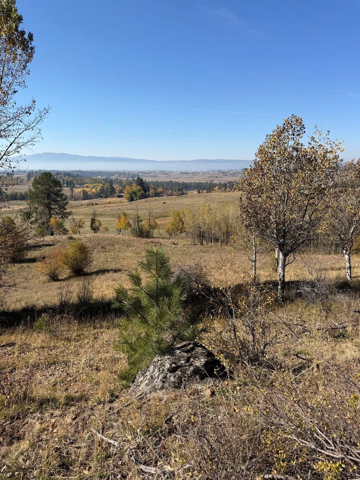 Granite and aspens up in the timber